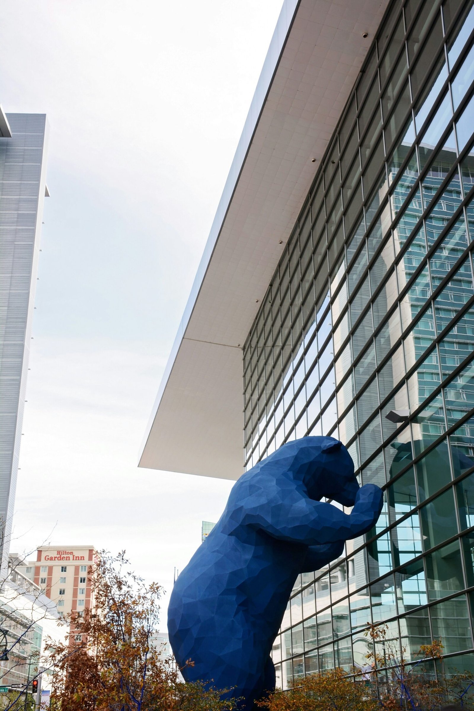 blue bear leaning on glass building